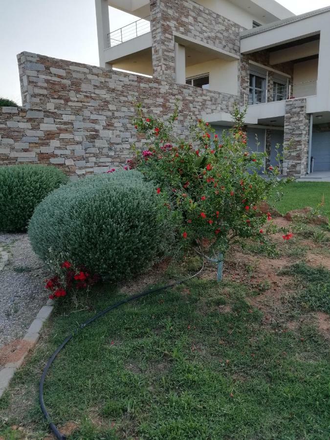Dimitra Hotel Rafina  Luaran gambar
