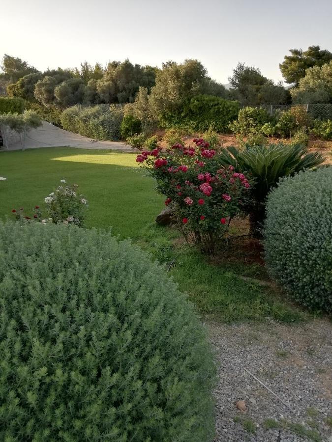 Dimitra Hotel Rafina  Luaran gambar